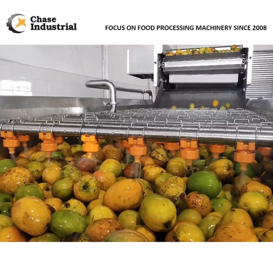 Automatic Juice Paste Processing Line Industrial Dried Chips Machinery Pulp Making Mango Machine