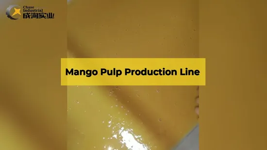 Automatic Juice Paste Processing Line Industrial Dried Chips Machinery Pulp Making Mango Machine